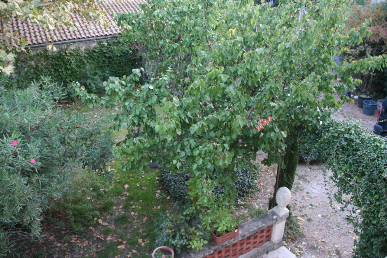 أفينيون Le Mas Des Dames Appartement المظهر الخارجي الصورة