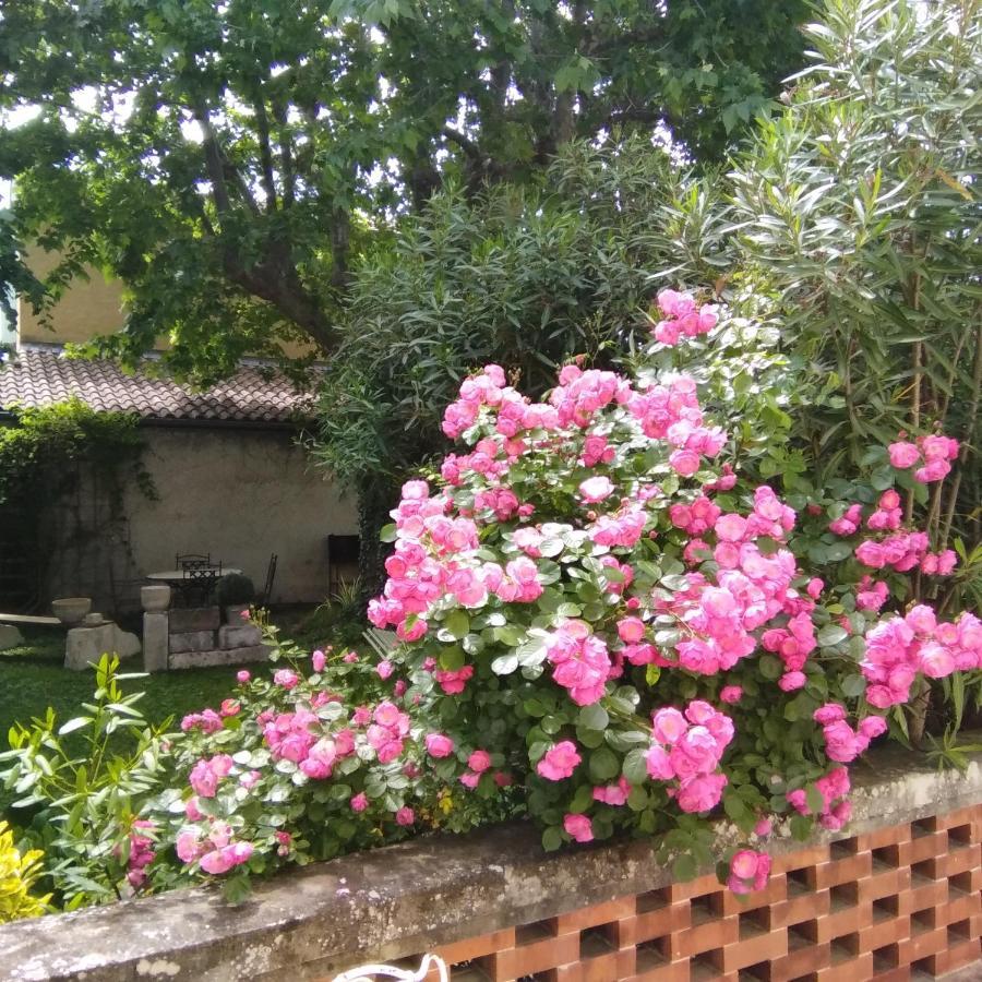 أفينيون Le Mas Des Dames Appartement المظهر الخارجي الصورة